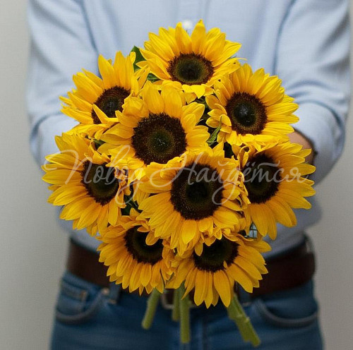 Букет Солнечные зайчики