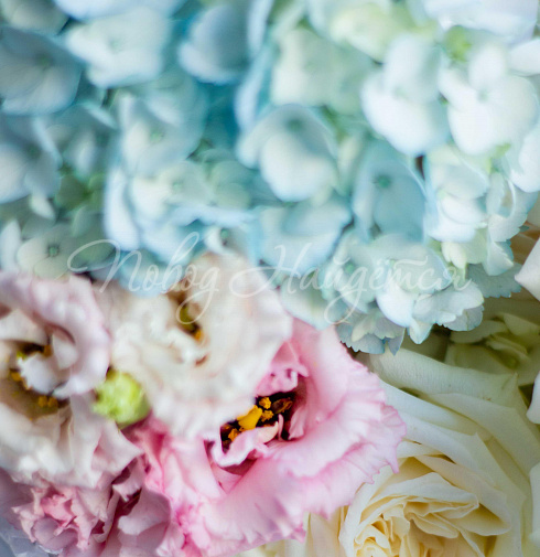 Букет Небесный свет — Повод Найдется