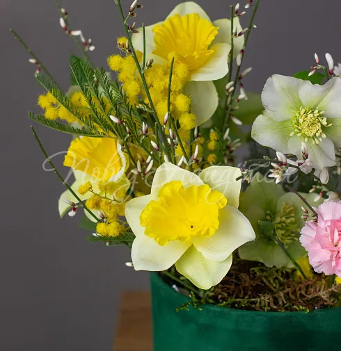 Корпоративный 053