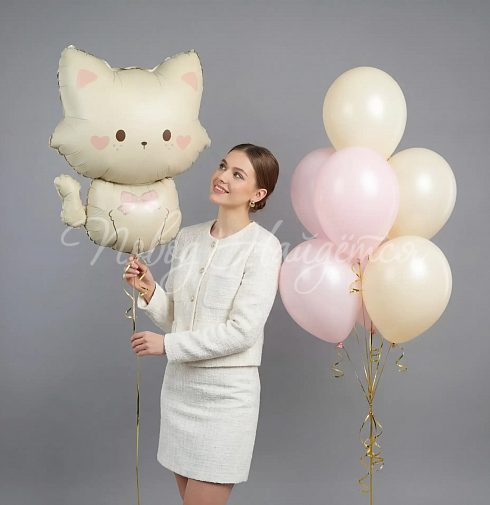Облако шаров "Милой кошечке"