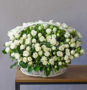 Корзина Бенефис