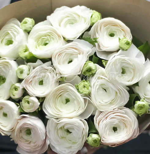 Букет Альба — Повод Найдется