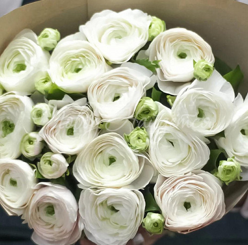 Монобукеты из ранункулюсов Букет Альба