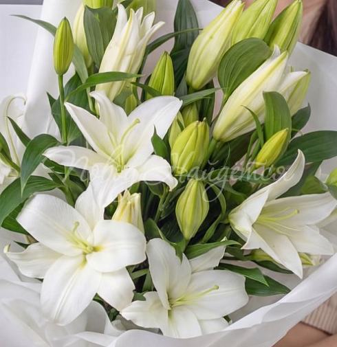 Букет Мэрилин — Повод Найдется