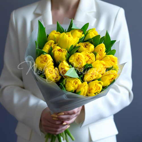 Моно Тюльпаны Весеннее солнышко