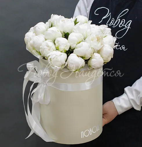 Корзина Шарлотта — Повод Найдется