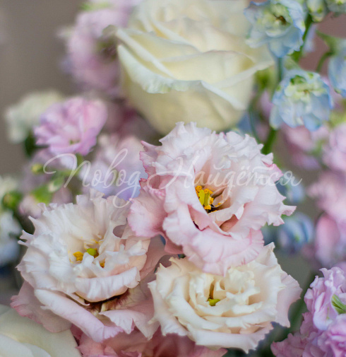 Снег в океане