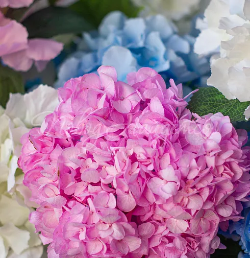 Букет Баунти — Повод Найдется