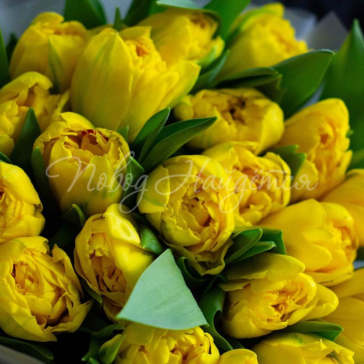 Весеннее солнышко