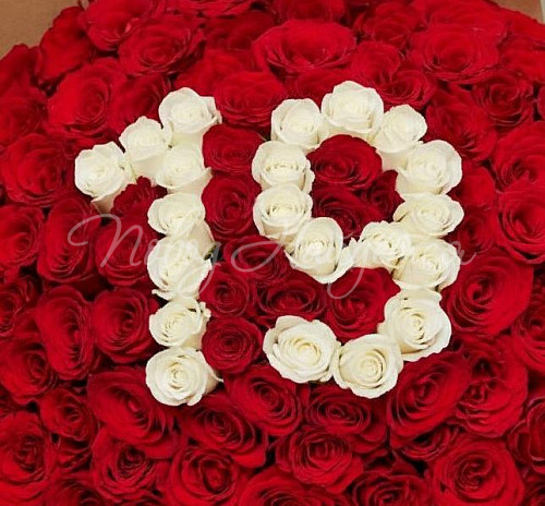 101 роза Букет 19 лет