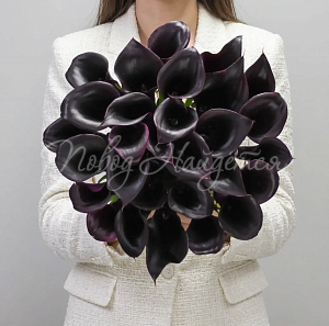 КАЛЛЫ Букет 29 фиолетовых калл
