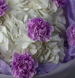 ГОРТЕНЗИИ Букет Ласковый ветерок