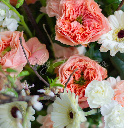 Букет Экзотическое утро — Повод Найдется