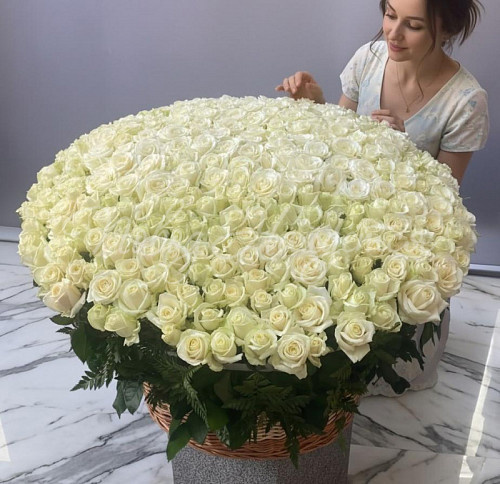 Букет 301 белая роза в корзине