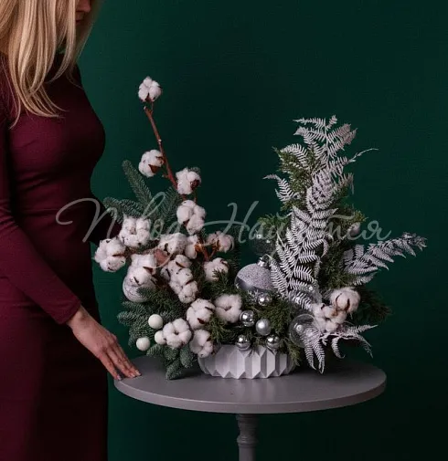 Зимние грезы