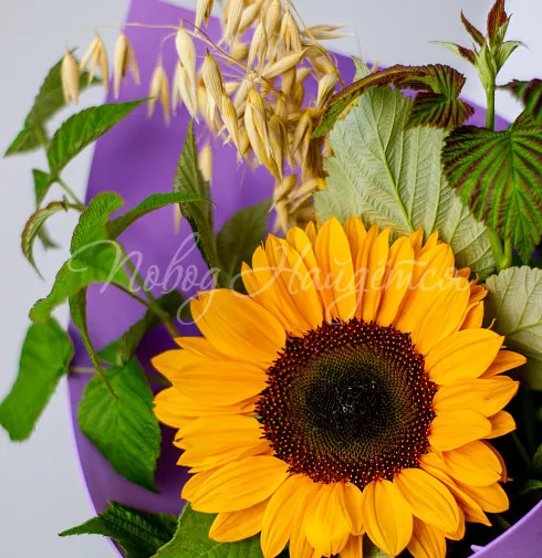 Букет Всегда готов! — Повод Найдется