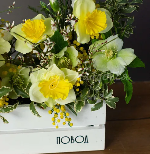 Букет Первые подснежники — Повод Найдется