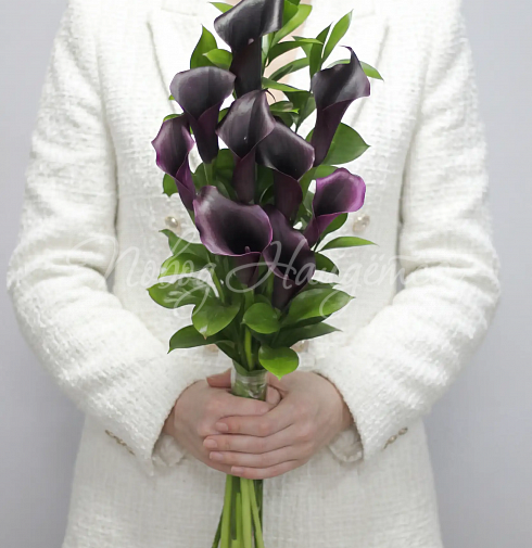 Букет 9 фиолетовых калл — Повод Найдется
