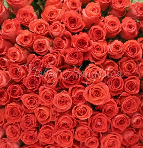 Букет Оранжевый рай — Повод Найдется