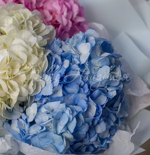 Букет Космополитен — Повод Найдется