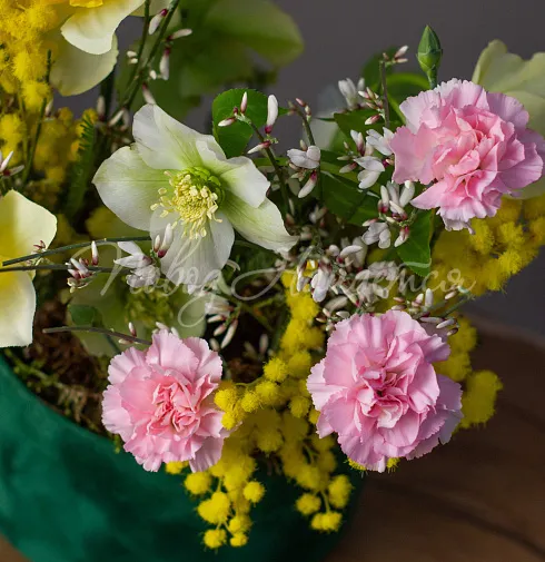 Корпоративный 053