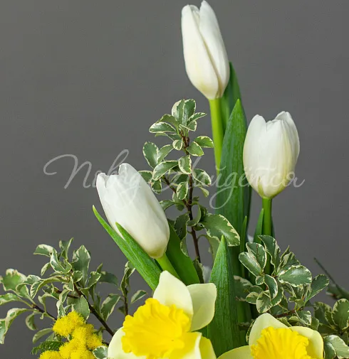 Корпоративный 050