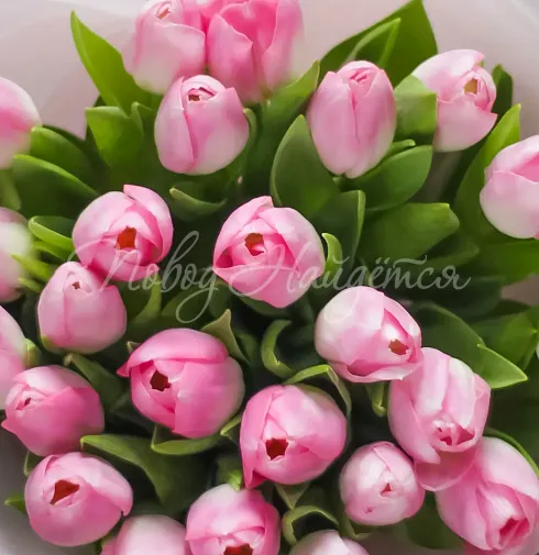 Букет Любовь — Повод Найдется