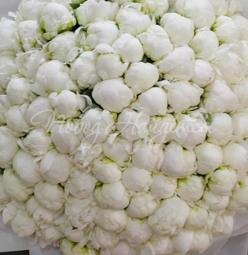 Букет Ослепительный миг — Повод Найдется