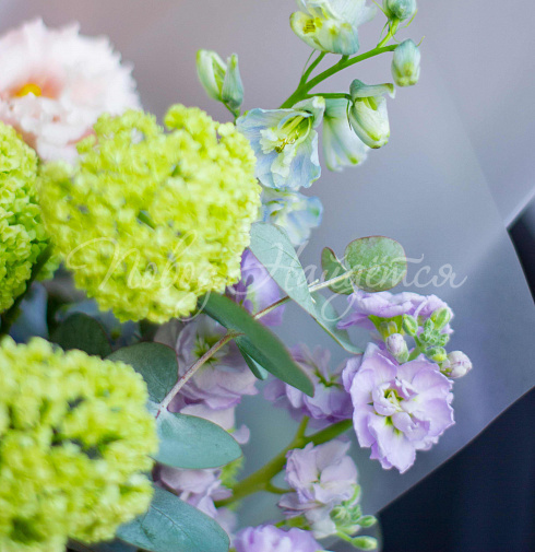 Яблоки в цвету