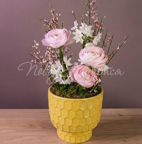 Букеты Букет Морозная клюква