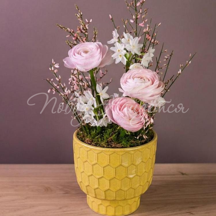 Букеты Букет Морозная клюква