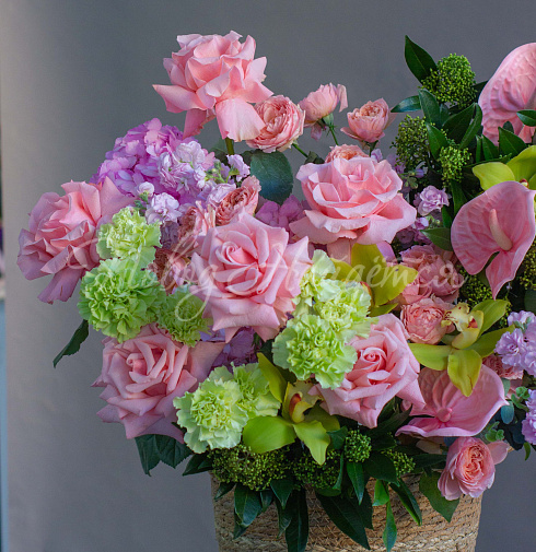 Корзина Житель твоих снов — Повод Найдется