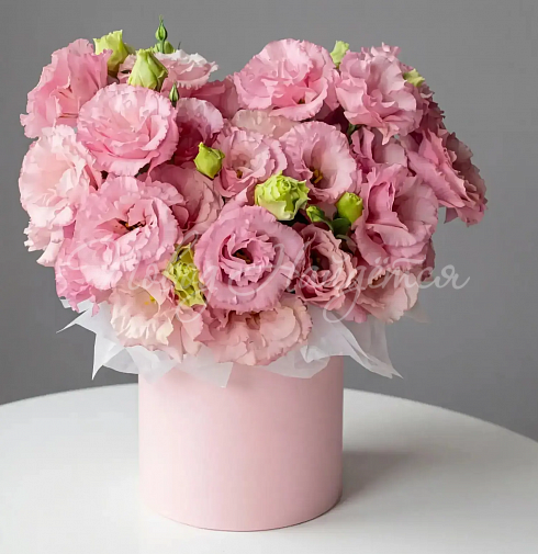 Корзина Алиса — Повод Найдется