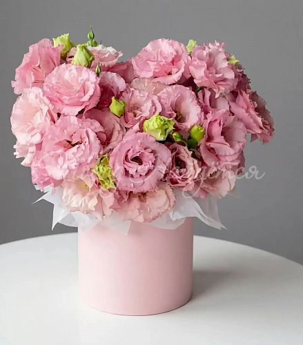 Коробки Корзина Алиса