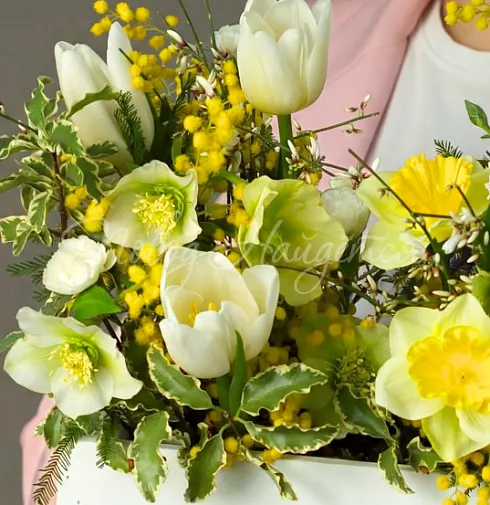 Корпоративный 055