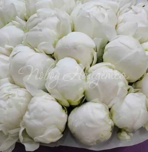 Букет Вдохновение — Повод Найдется