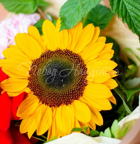 Букет Бодрое утро — Повод Найдется