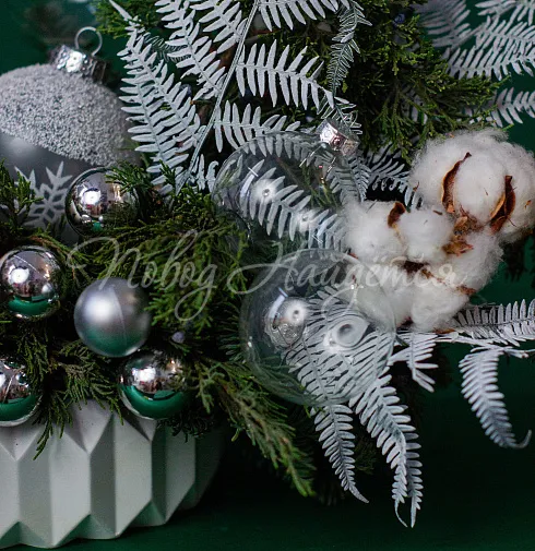 Зимние грезы