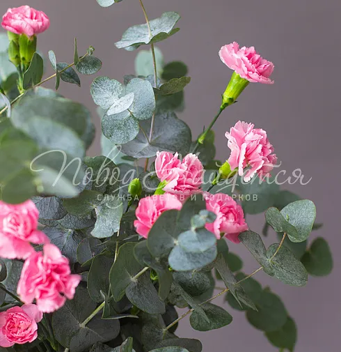 Букет Атмосфера уюта — Повод Найдется