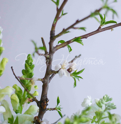 Букет Сбывшиеся мечты — Повод Найдется