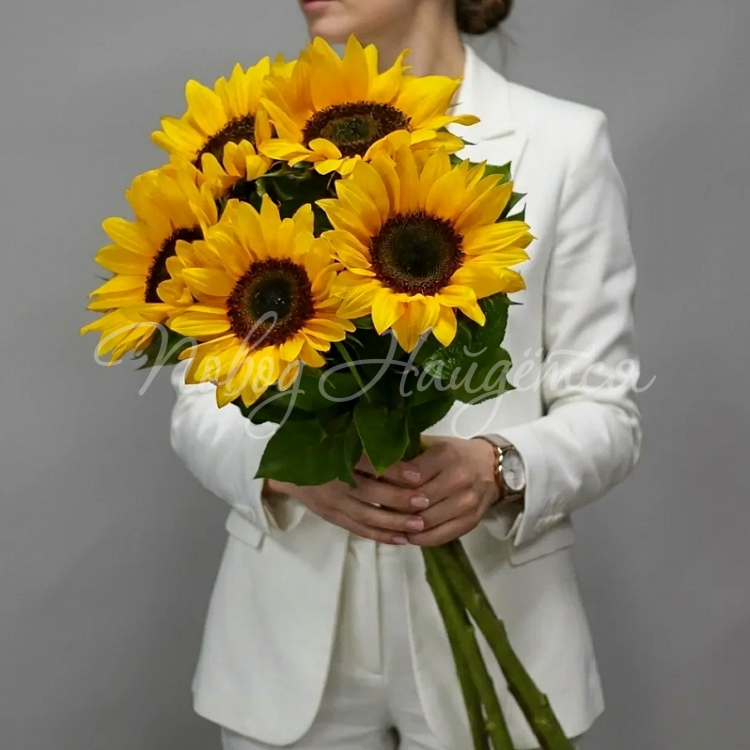 Цветы Букет 5 подсолнухов