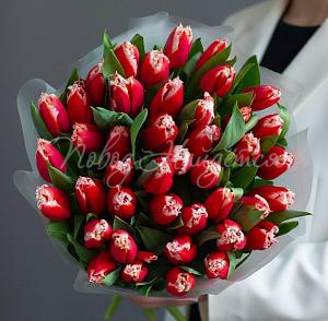 8.03 Яркий вечер