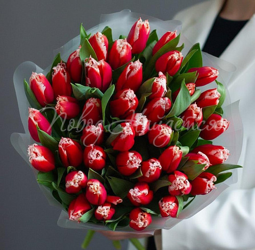 Моно Тюльпаны Яркий вечер