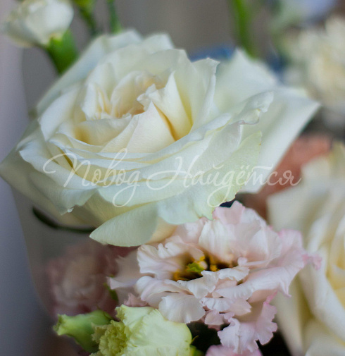 Снег в океане