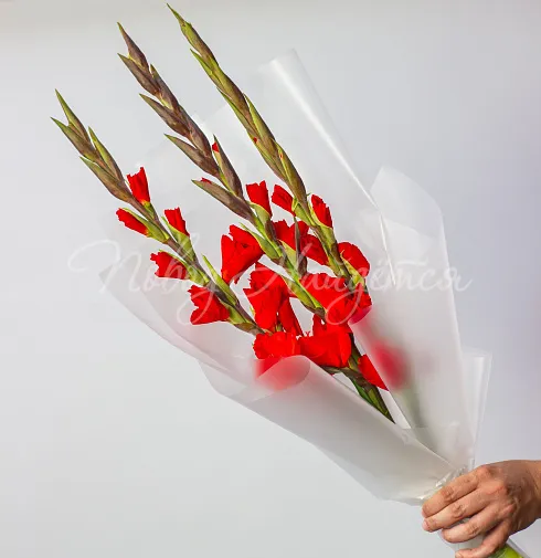 Букет Знамя — Повод Найдется