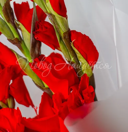 Букет Знамя — Повод Найдется