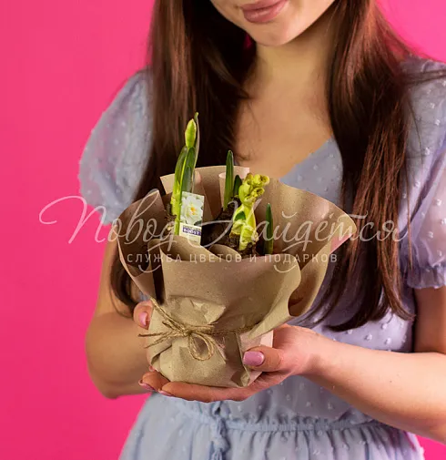 3 Нарцисса в кашпо