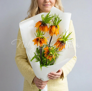 Букеты Букет Лилу