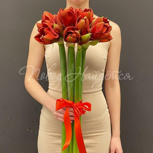 Букет 9 амариллисов