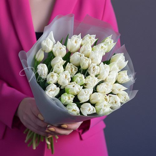 Моно Тюльпаны Нежный вечер